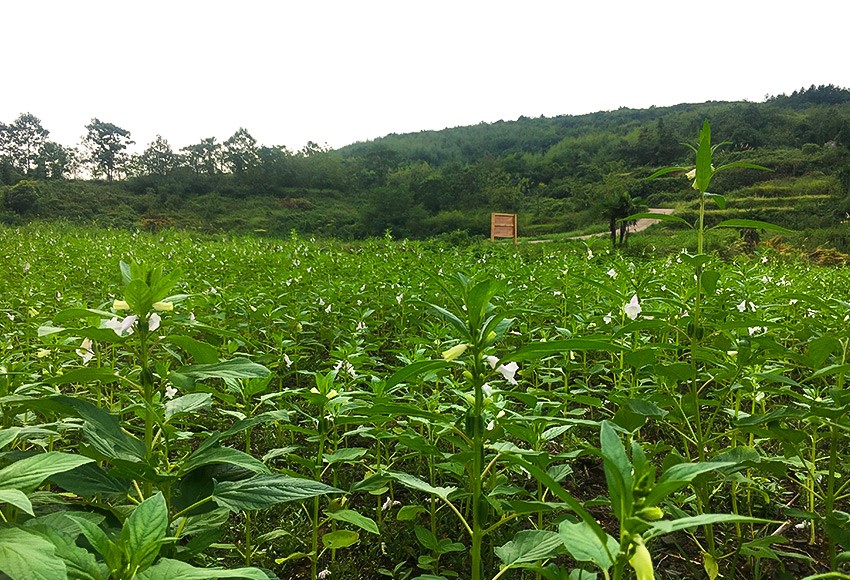 基地风采