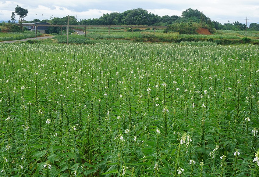 基地风采