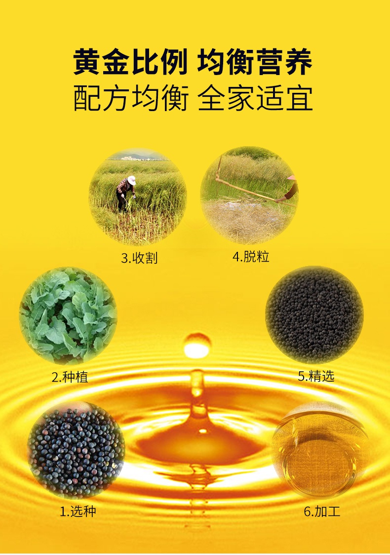 菜籽油5L详情页_08.jpg