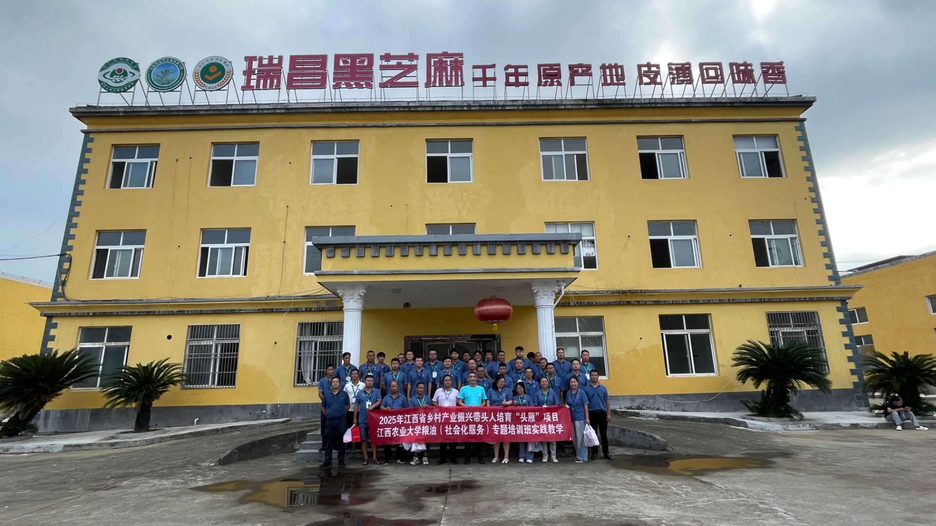 科技赋能产业兴｜“头雁”齐聚瑞昌，探秘黑芝麻全产业链蜕变之路